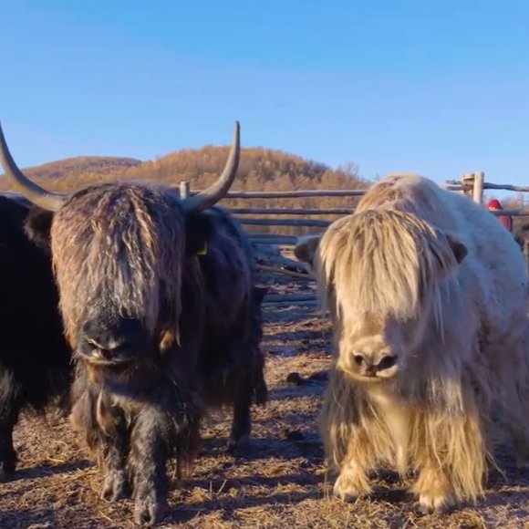 Natural Brown Yak wool mittens, Warm winter mittens, Cozy mittens, Best mittens - Picture 9 of 9